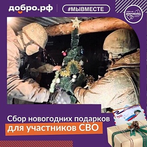 Сбор подарков для СВО